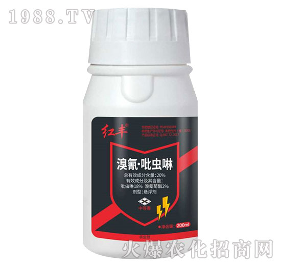 20%���衤���x(ch��ng)��-�t�S-Ӣ����