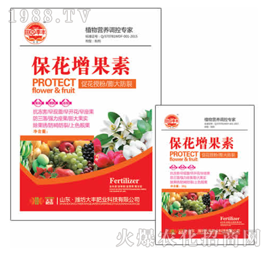 25g����������-��@���S-���S�ʘI(y��)