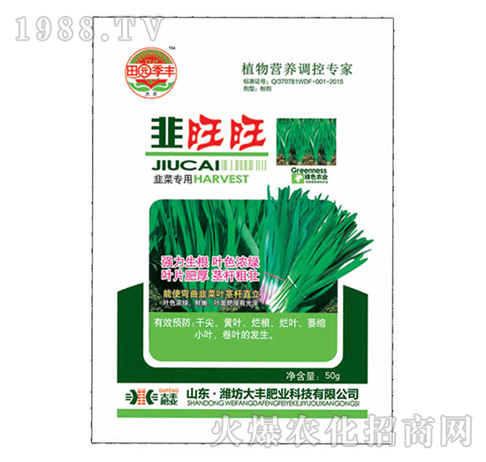 �²ˌ��þ�����-��@���S-���S�ʘI(y��)