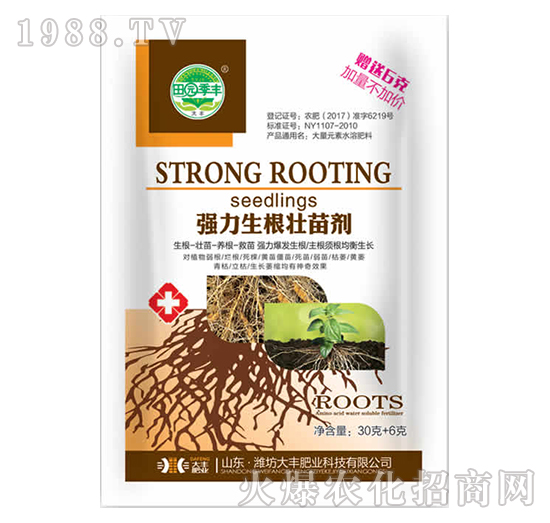 36�ˏ����������焩-��@���S-���S�ʘI(y��)