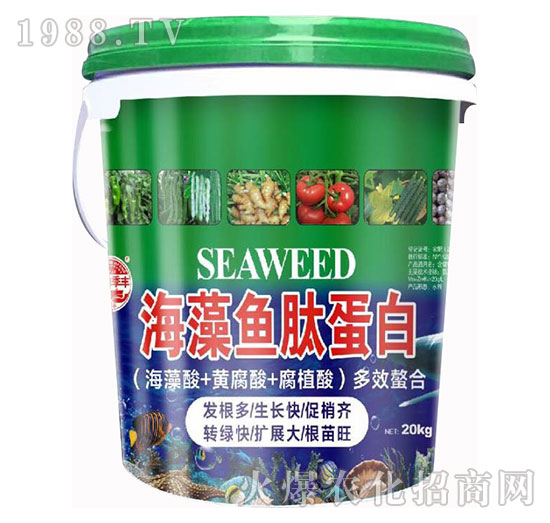 �����~(y��)�ĵ���-��@���S-���S�ʘI(y��)