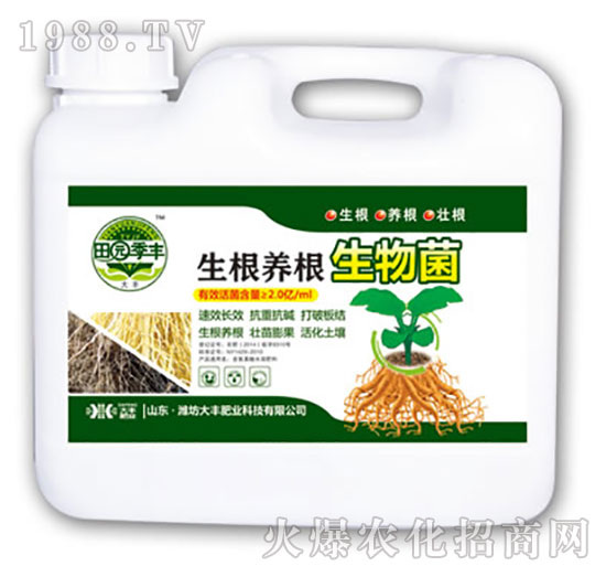 �����B(y��ng)�������-��@���S-���S�ʘI(y��)