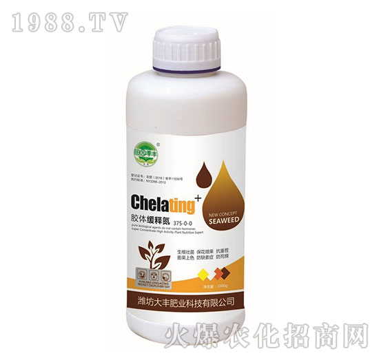 �z�w��ጵ�-��@���S-���S�ʘI(y��)