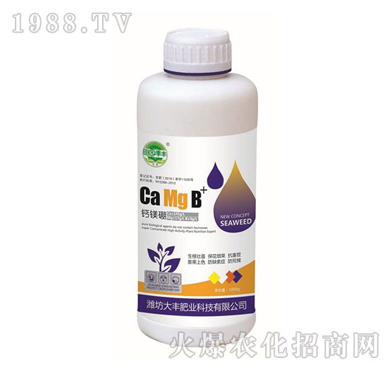 �}�V��-��@���S-���S�ʘI(y��)