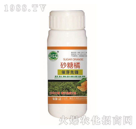 ɰ���ٴ�ѿ���h-��@���S-���S�ʘI(y��)