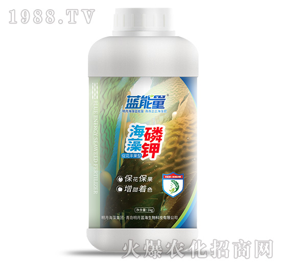 ������⛣�1kg��-�{(l��n)����