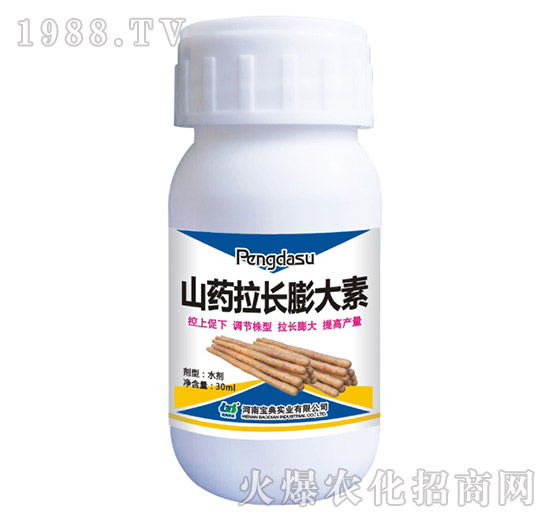 ɽˎ���L�����-���䌍�I(y��)