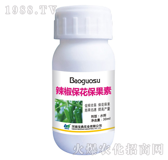 ��������������-���䌍�I(y��)