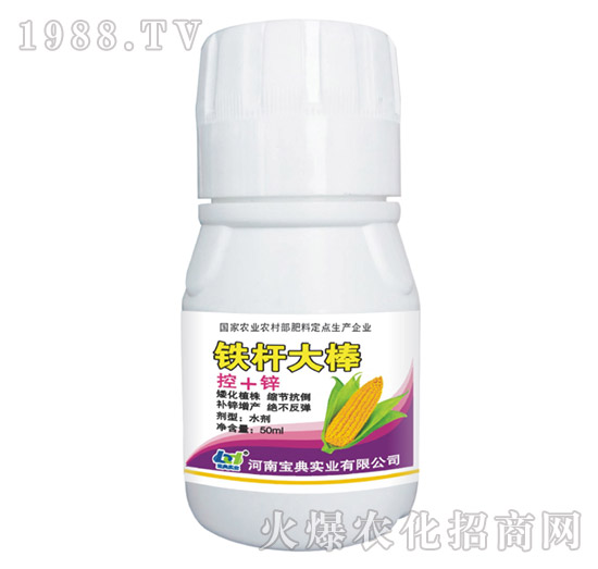 �F�U���-���䌍�I(y��)