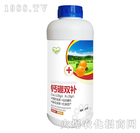 �}��ͬ�a-����t