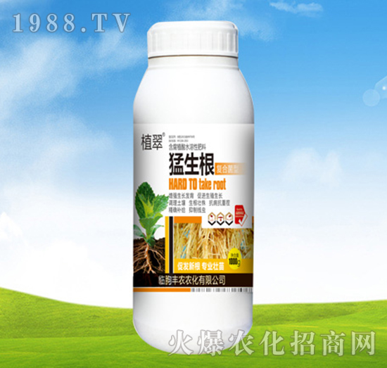 ������-ֲ��-�S�r�r��