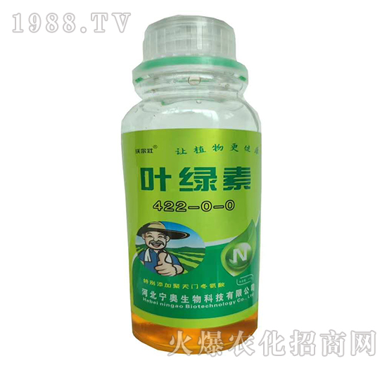 �~�G��400-0-0-�֠���-���W����