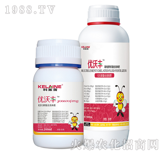 12Ԫ���������w��-��(y��u)���S-�W���r(n��ng)�I(y��)