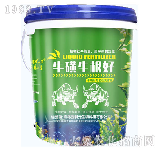 ����������-�@��Ԫ