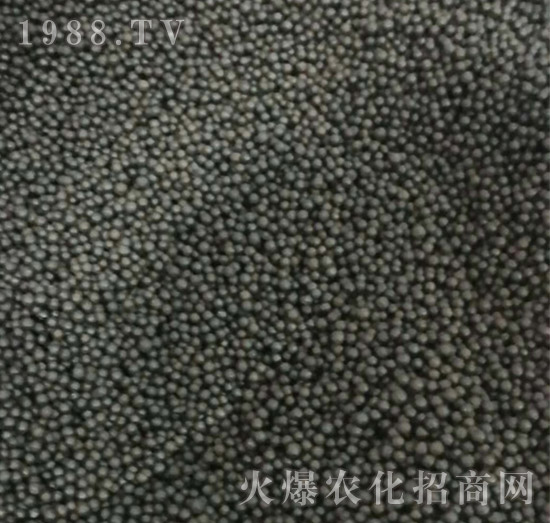 ���{�����ЙC����-ʩ���_(d��)