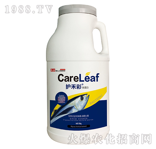 �~����-�o(h��)�̲�-������A