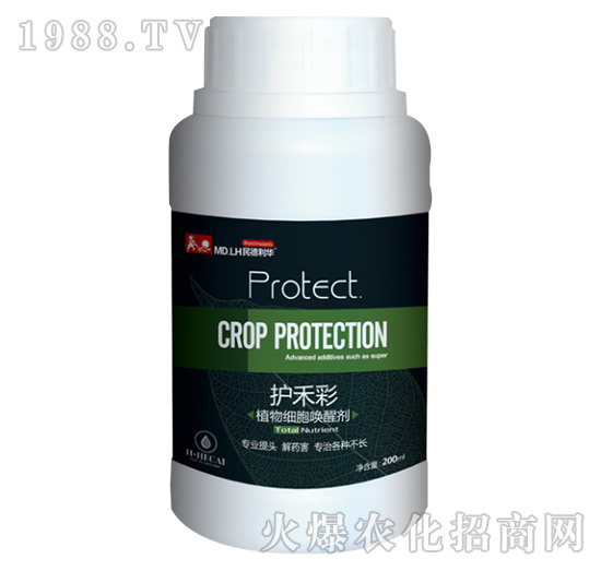 ֲ�：(x��)�����ф�-�o(h��)�̲�-������A