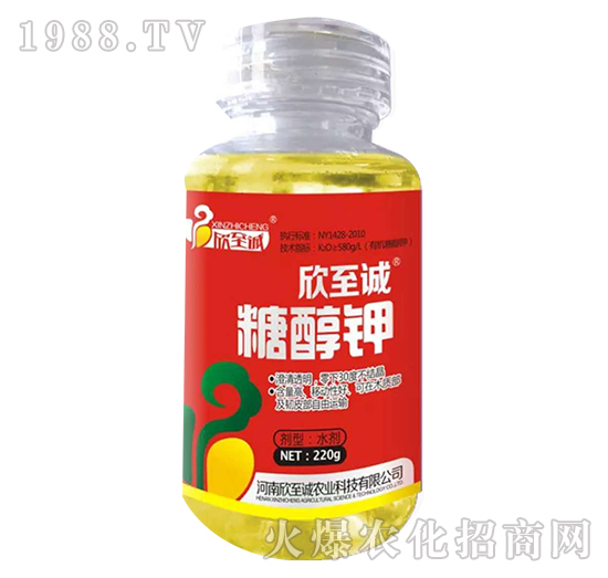 �Ǵ��-�����\(ch��ng)