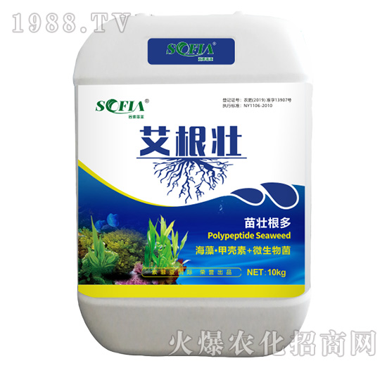 ������-���Ɓ�