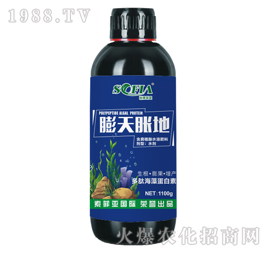 ����ֲ��ˮ�ܷ���-����Û��-���Ɓ�