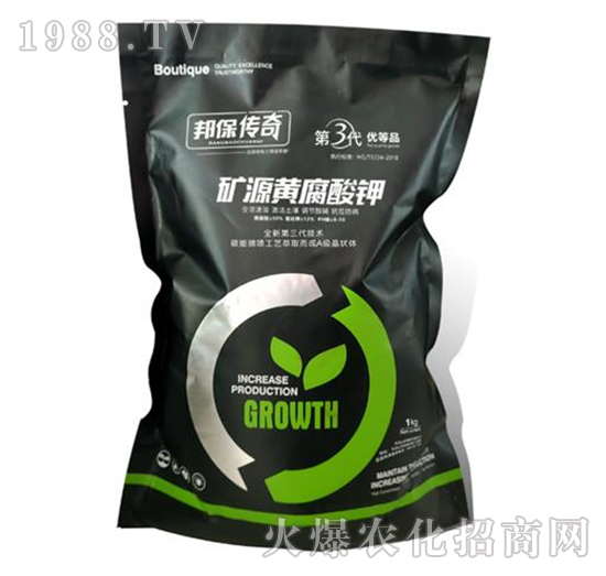 �VԴ�S�����-�����-��ʘI(y��)