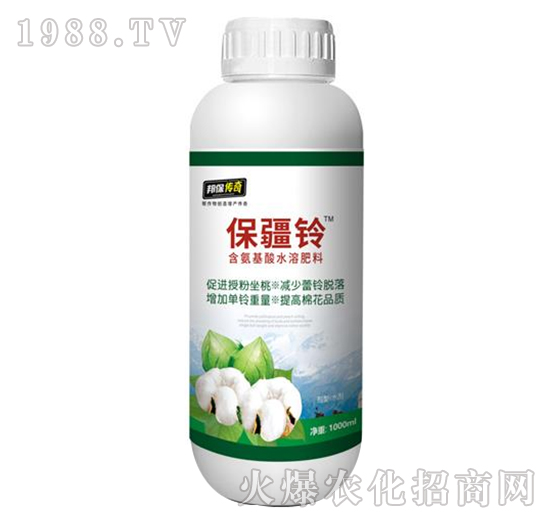 �����-�����-��ʘI(y��)