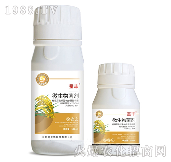 ΢�������-���S-���