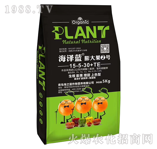 膨大果2號(hào)-海澤藍(lán)-海之藍(lán)