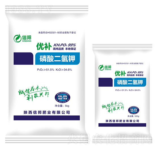 ��������-��(y��u)�a-�Ű�ʘI(y��)