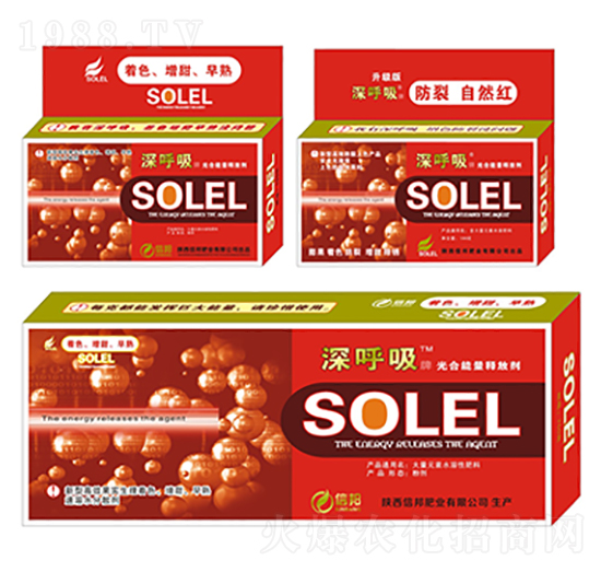 �������ጷń�-�����-�Ű�ʘI(y��)