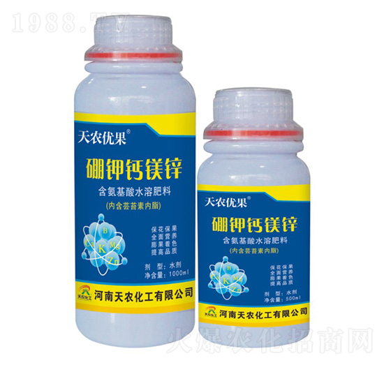 ����}�V�\-���r(n��ng)��(y��u)��-���r(n��ng)����