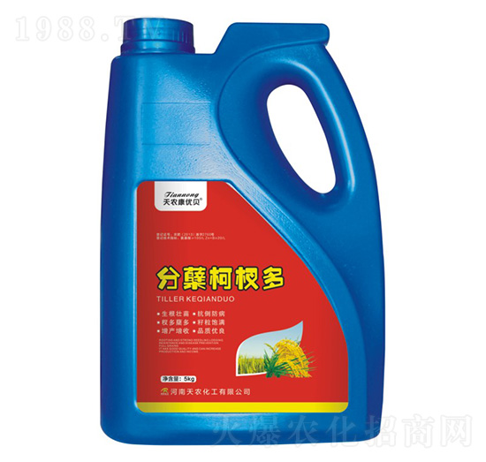 分蘗柯杈多-天農(nóng)康優(yōu)貝-天農(nóng)化工