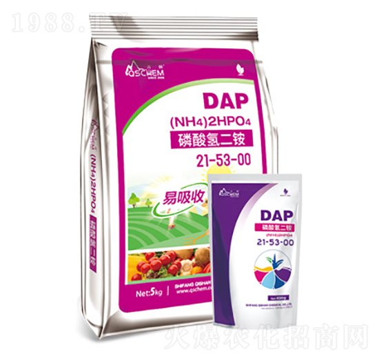 �������@-�ɽ����