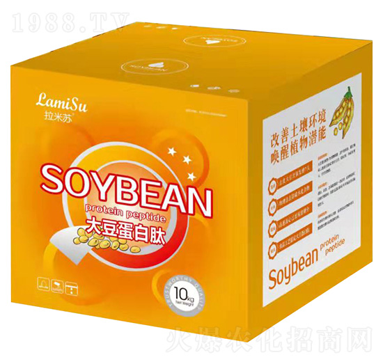 �󶹵�����-�����K-�Ơ���˹