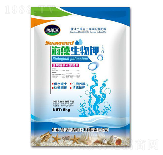 ���������-�W����-��������