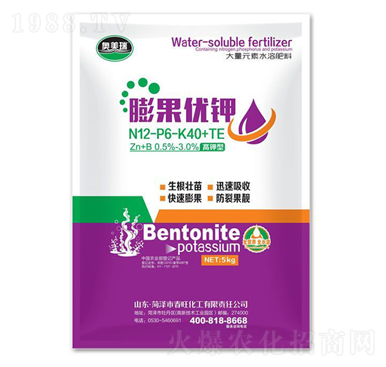 �����(y��u)�12-6-40+TE-�W����-��������