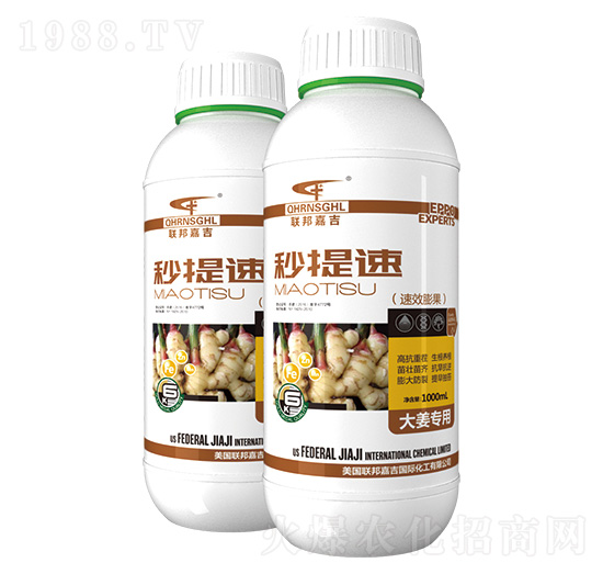 �󽪌�(zhu��n)����Ч�����-������-(li��n)��μ�