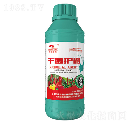 �ݲݡ����¡������-ǧ���o(h��)��-(li��n)��μ�