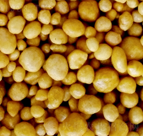 �۰�����Ĥ�ͺϷ�-�����S