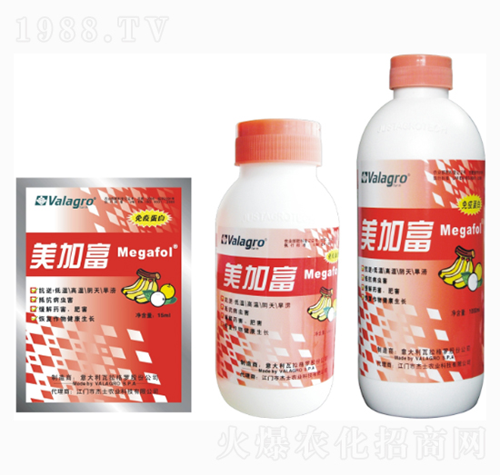 ���Ӹ��������߄�-��ʿ�r(n��ng)�I(y��)