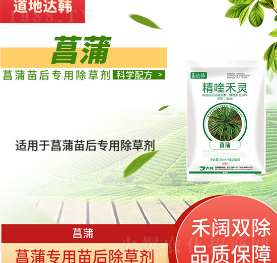 ���ѳ��݄�-�������-���ь���-���n