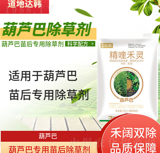 ���J�ͳ��݄�-���J�����-���J�͌���-���n