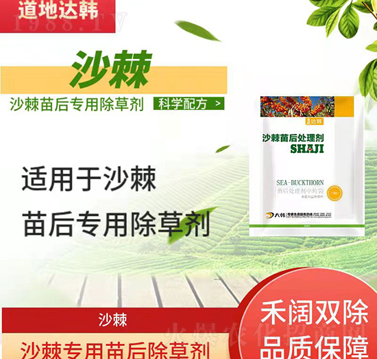 ɳ������݄�--ɳ�������-ɳ���(zhu��n)��-���n