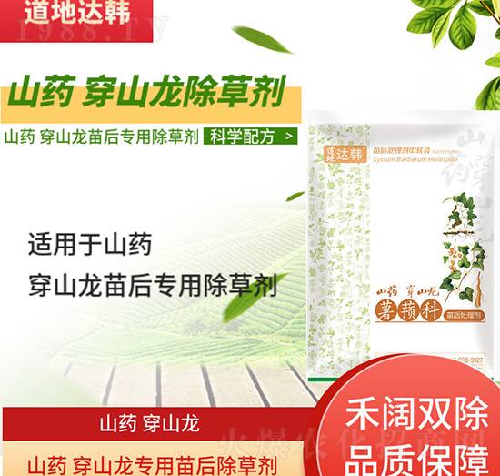 ɽˎ��ɽ�����݄�-ɽˎ��ɽ�����-ɽˎ��ɽ������-���n