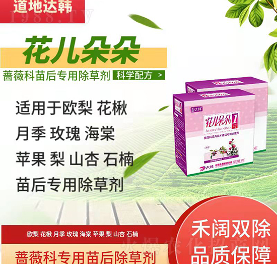 �Nޱ�Ƴ��݄�-�Nޱ�����-�Nޱ�ƌ���-�������-���n