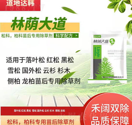 �ɿưؿƳ��݄�-�ɿưؿ����-�ɿưؿƌ���-���a���1̖(h��o)-���n