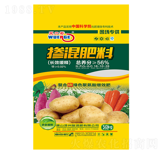 �LЧ��ጓ������18-10-28-�Ƕ���-����