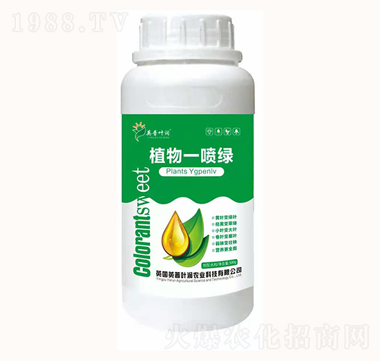 ֲ��һ���G-Ӣ���~��(r��n)