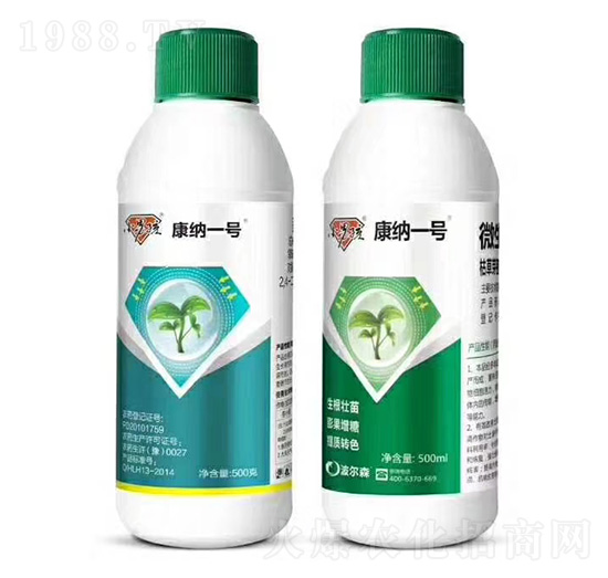 ΢�������-���{һ̖-����ɭ