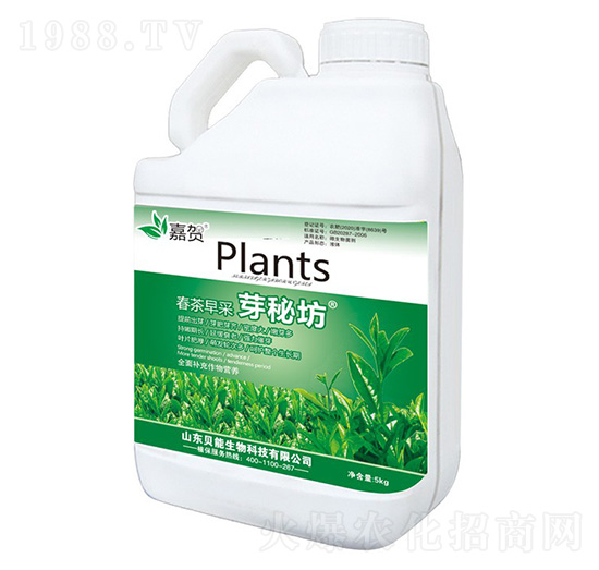 �������ѿ�ط�-ؐ������